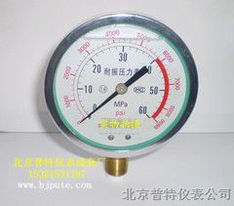 YE100膜盒压力表 正负压 2Kpa膜盒压力表 北京生产厂家